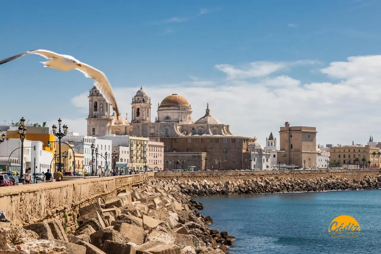 Apartamento La Luz de la Viña - WIFI - PETFRIENDLY - ECOFRIENDLY Cádiz 0*,  España